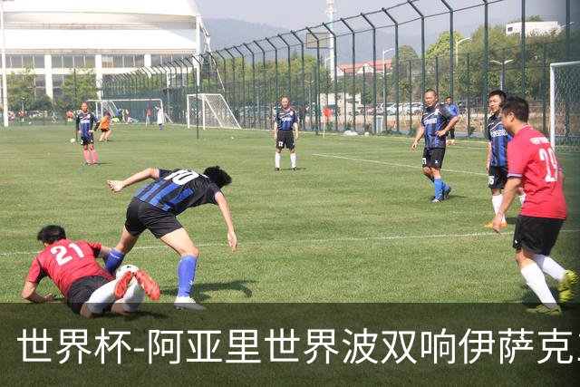 世界杯-阿亚里世界波双响伊萨克1射2传 瑞典5-1突尼斯