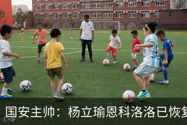 国安主帅：杨立瑜恩科洛洛已恢复 球队有很多要提升的地方