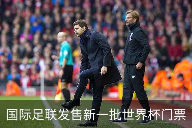 国际足联发售新一批世界杯门票