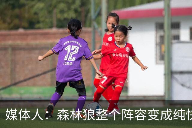 媒体人：森林狼整个阵容变成纯快节奏抢投了 球队也梭哈了