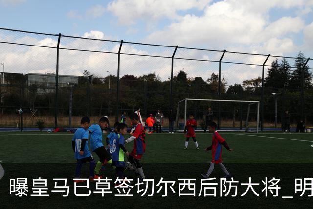 曝皇马已草签切尔西后防大将 明年夏天完成转会